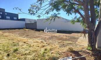 Imagem 4: Terreno disponível para venda no bairro Novo Mundo em Uberlândia-MG
