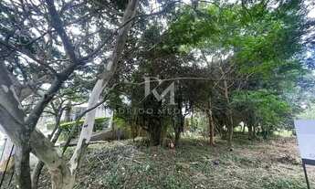 Imagem 3: Terreno à venda em Jurerê Internacional, Florianópolis