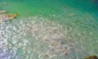 Imagem 7: Venda sítio Chácara com venda por R$500.000