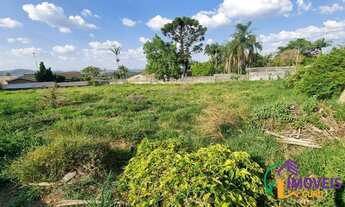 Imagem 6: TERRENO - VILA SANTISTA - SP