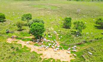 Imagem 5: Fazenda - 360 hectares - 74, 38 Alqueires