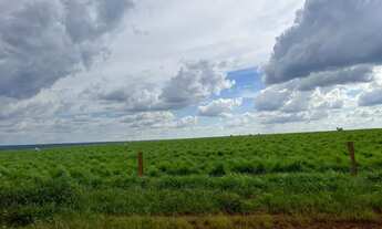 Imagem 2: Fazenda 2.436hec nova Motum com silo, R$:1.100.000 sacas soja