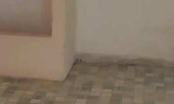 Imagem: ALUGO CASA ESTILO KITNET NO SANTO ANTÔNIO