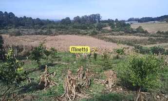 Imagem 2: VENDA - ÁREA RURAL COM 2,5 HECTARES SANTA LUCIA