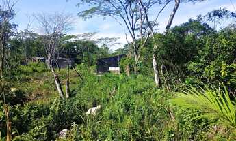 Imagem 3: Curva do S praia grande 35