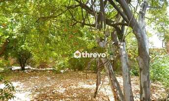 Imagem 2: Terreno, 800 m² - venda por R$ 420.000,00 ou aluguel por R$ 1.540,18/mês - Marquês de Para