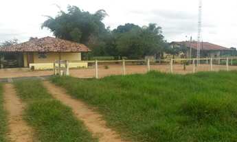 Imagem 5: Fazenda à venda com 2.366 Hectares no município de Barra do Garças MT valor 60.000.000,00
