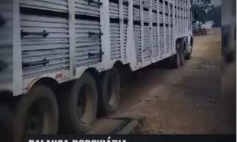 Imagem 7: Fazenda nova casa branca no triangula Mineiro de 5050 hectares