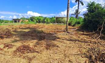 Imagem 2: Vende-se terreno 20x40,plano,vista rio,condomínio,documentado Fone/Whatsapp *