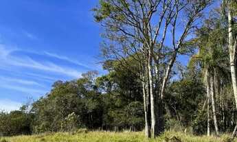 Imagem: Viva o interior com conforto, natureza e