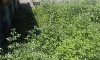 Imagem: Vendo meio lote