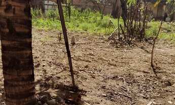 Imagem 3: Vende-se Casa com 3 dormitórios