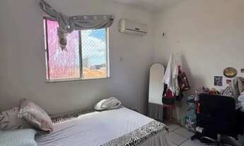 Imagem 6: Apartamento no Ditaly/ Cohama/ Aririzal/ 2 Quartos