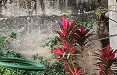 Imagem 3: Sobrado com Edícula à Venda Próximo à Avenida Maringá Bairro Vitória Londrina PR