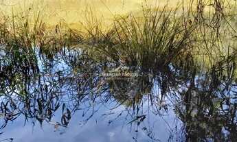 Imagem 4: Fazenda - Rural - Pronto para morar Centro - Itatiaiuçu/MG