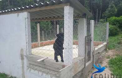 Imagem 6: Linda chácara proxima da rodovia em Agudos do Sul