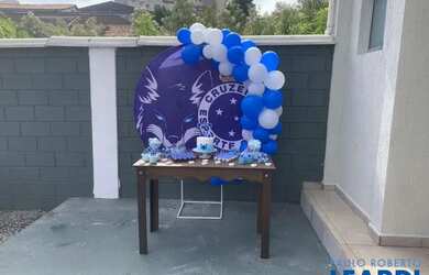 Imagem 4: TERRENO - VILA ESPERANÇA - SP