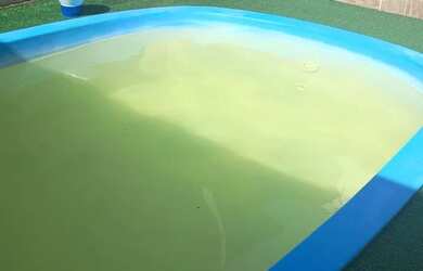 Imagem 4: Casa escriturada e averbada 4 dormitórios