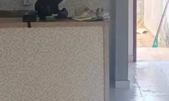 Imagem 6: Casa grande padrão moderno