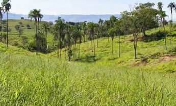 Imagem 7: Fazenda à Venda 308 Alqueires São Luís de Montes Belos - GO
