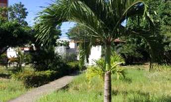 Imagem 4: Parque dos manguezais 3/4