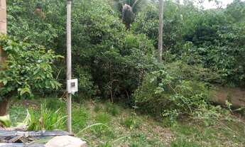 Imagem 4: Chácara a venda com 10mil metros