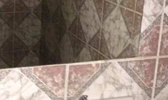 Imagem 3: Casa à venda no Cosme de Farias