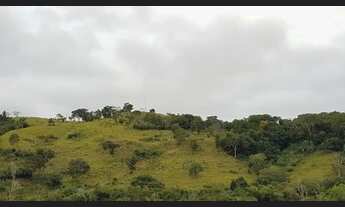 Imagem 3: Chácara em Itapuranga 4 alqueires