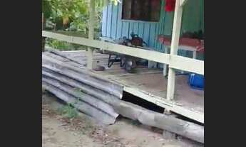 Imagem 6: Sitio De 6 hectares no bairro jacupema eldorado