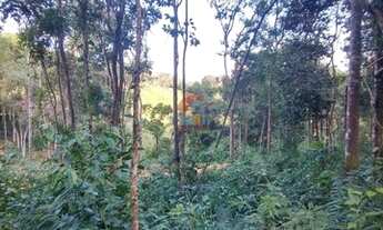 Imagem 7: NOVA LIMA - Terreno Padrão - Arvoredo da Serra