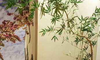 Imagem 6: Vd Apt 1 qt (reformado) - Rua 4 C Vicente Pires-DF