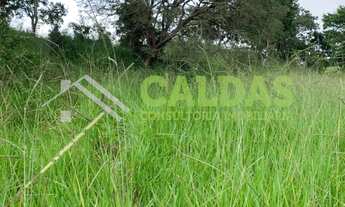 Imagem 6: Fazenda/Sítio/Chácara para venda com 1,2 alqueire Goiás