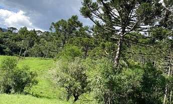Imagem 3: Terreno Rural 2 hectares/Imóvel Rural 2 hectares Urubici