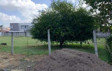 Imagem 3: Excelente lote 15x30 nascente,plano Jardim Horto I