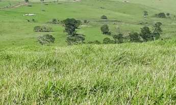 Imagem 8: Fazenda com 172,06 Ha em Laje