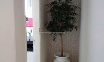 Imagem 6: BORDA DA MATA - Casa Padrão - Centro