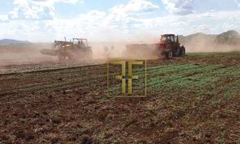 Imagem 3: Fazenda 981 Hectares, Rio Manso, MT