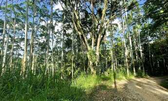 Imagem 3: Divisa Timbó - Pomerode