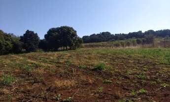 Imagem 3: Chácara para Venda em Londrina, Usina Três Bocas