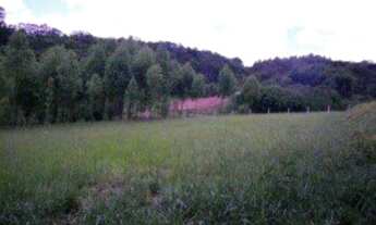 Imagem 7: TERRENO RESIDENCIAL em Ibiúna - SP, Rod. Bunjiro Nakao