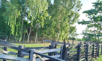 Imagem 4: Fazenda próximo à Santa Rita do tocantins