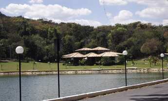 Imagem 7: Lote de 1.000m2 com vista definitiva para a mata, na parte alta