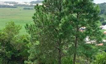 Imagem 5: TERRENO RESIDENCIAL em PAULO LOPES - SC, GAMBOINHA
