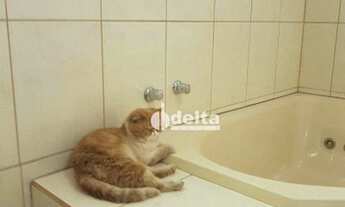 Imagem 5: Casa com 3 dormitórios à venda, 250 m² por R$ 1.070.000,00 - Jardim Colina - Uberlândia/MG