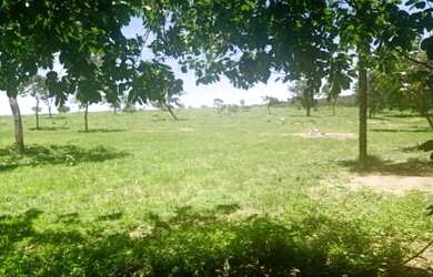 Imagem 7: Oportunidade! Vende-se um espetáculo de fazenda de 155 Hectares