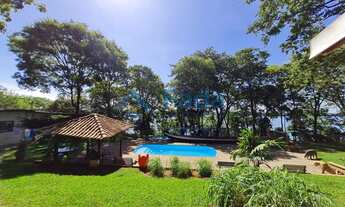 Imagem 5: PORTO RICO - Chácara - Chácara em Porto Rico