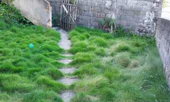 Imagem 7: Casa para venda tem 470 metros quadrados com 4 quartos em Mucuri - Cariacica - ES