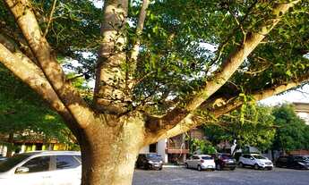 Imagem 6: Apartamento para venda com 124 metros quadrados com 3 quartos em Portão - Lauro de Freitas