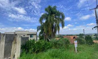 Imagem 4: TERRENO QUATRO BARRAS - PR