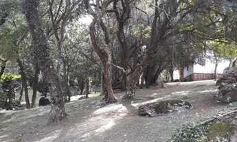 Imagem 3: Porto Alegre - Sítio - Belém Velho